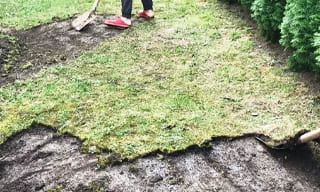 Снятие дерна старого газона в Кронштадте – от 523 руб. | ГОСТСТРОЙ